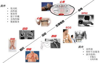 adi深度丨融入人工智能才是智能可穿戴的未来