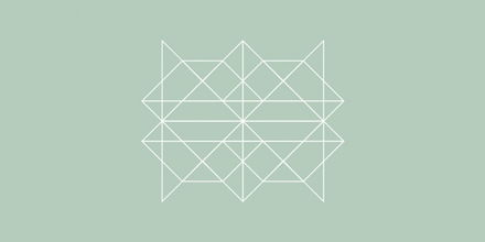 brown fox图形设计公司品牌形象设计